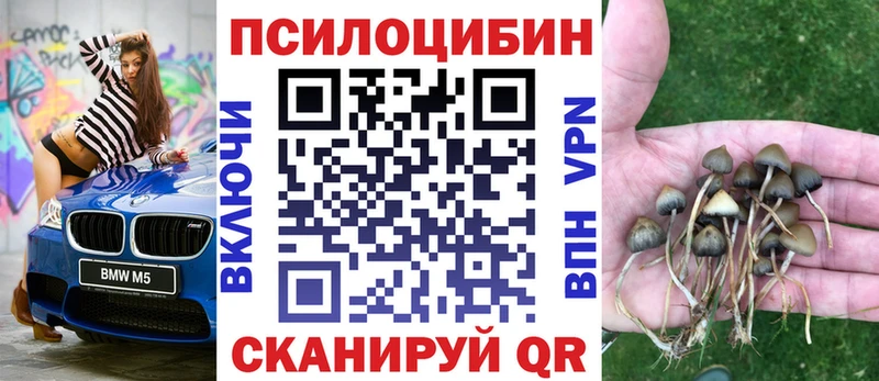 Псилоцибиновые грибы MAGIC MUSHROOMS  Бакал 